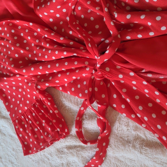 Privacy Please Polkadot LRD - Picture 4 of 5